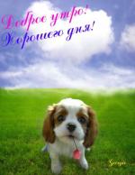 Аватара пользователя