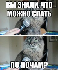 Страшнее кошки зверя нет  - image (5).jpg