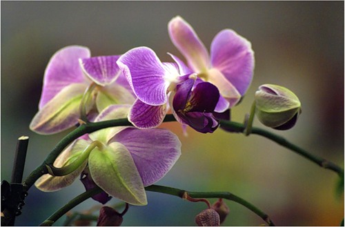 Нужно ли ребенку 5-ти лет соборование? - 0_2751a_de2cc034_-1-L.jpg