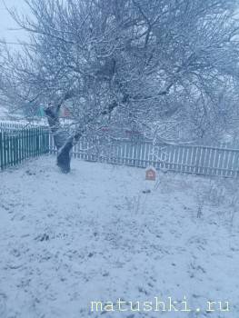 А что у нас с погодой? -6 - IMG20241212081725.jpg