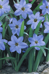 Игра в слова - Последние две буквы 4 - 4765.jpg