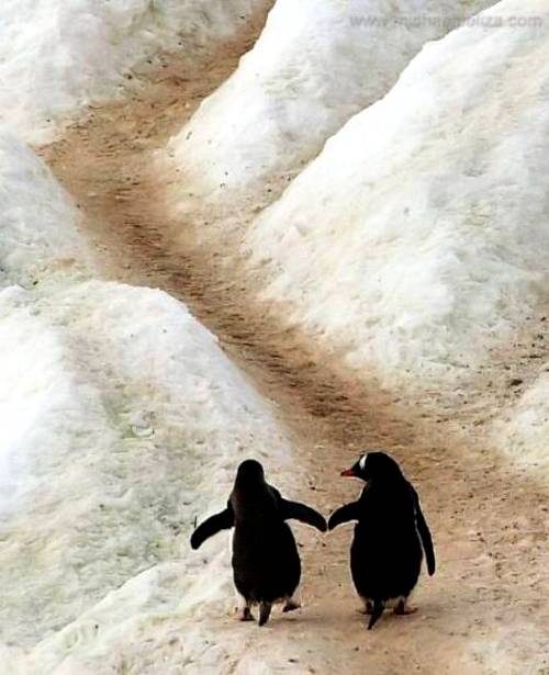 Исполнитель желаний - Копия c047927f80d4cc1077cb2b4bb6f82ea3.jpg