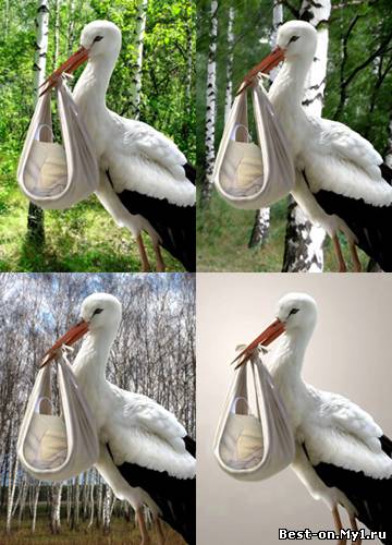 они,похоже, все к Вам - младенец.jpg