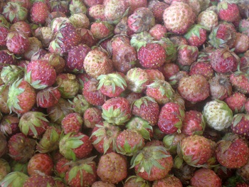 Онлайн меню на каждый день - 109962_normal_700.jpg