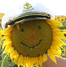 АВАТАРКИ банк аватарок и картинок для них  - 4393.jpg