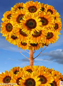 АВАТАРКИ банк аватарок и картинок для них  - 284281.jpg