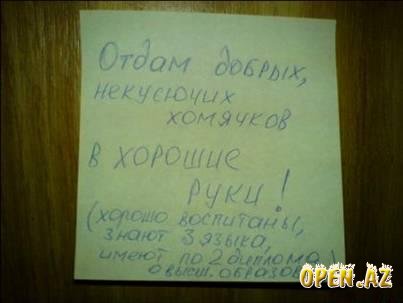 Надписи и подписи :  - 1199823387_4993574d7a.jpg