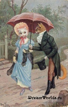 Кто там любит кошек? - 1224855646_tsn1018.jpg