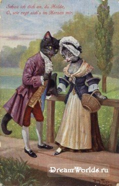 Кто там любит кошек? - 1224855679_tsn1018f.jpg