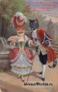 Кто там любит кошек? - 1224855727_tsn1018c.jpg