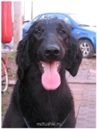 Тина -наша мама - Тина - мама Сандры.jpg