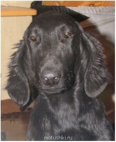 Бармалей - папа нашей красотки - Бармалей - папа Сандры.jpg