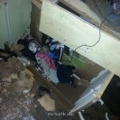 Стихия.... Помолимся? - 403494_4884087468917_1733955042_n.jpg