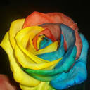 АВАТАРКИ банк аватарок и картинок для них  - 65465.jpg