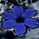 АВАТАРКИ банк аватарок и картинок для них  - 545.jpg