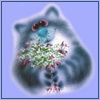 АВАТАРКИ банк аватарок и картинок для них  - cat59.jpg