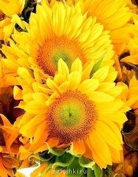 ПРО аватарки обсуждение -2 - plh1xFYJoNI.jpg