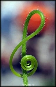 ВесЁлыЕ кАртинКи про нОтки, МУзыКу и т.п. - Ml3bQhksJdw.jpg