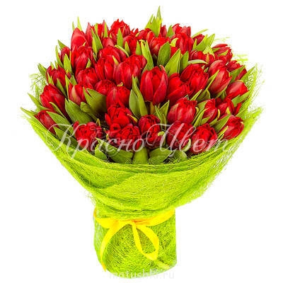 пример оформления - tulpan_10_2.jpg