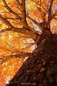 ПРО аватарки обсуждение -2 - 8o73o70ZxNI.jpg