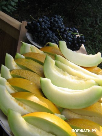 Исполнитель желаний - dynja.jpg