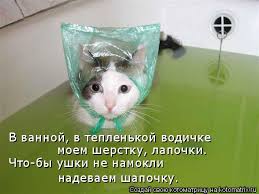 Любимая кошатинка  - mHawvGSMOYY.jpg