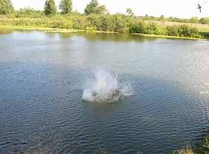 Исполнитель желаний - tarzanka2.jpg