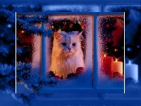 Банк праздничных аватарок, открыток, картинок - 289.jpg