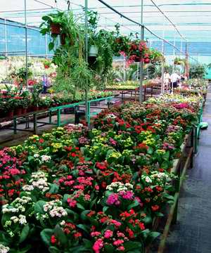 Исполнитель желаний - 224.jpg