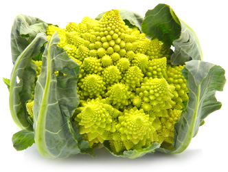 Флудилки-4 - 120308420_romanescocabbage.jpg