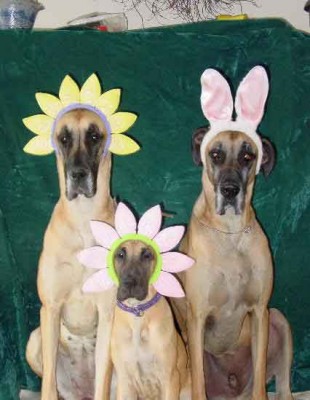 Исполнитель желаний - 3.jpg