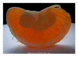 Капельки добра - image.jpg