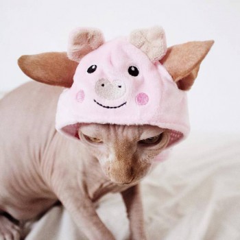 Любимая кошатинка  - 12662494_190334661324897_4144957793857057549_n.jpg