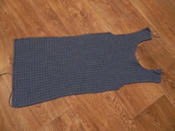 Быстрее моли - 5 - DSCN6364.JPG