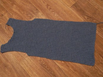 Быстрее моли - 5 - DSCN6365.JPG