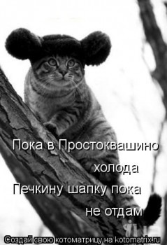 Любимая кошатинка  - 1119166.jpg