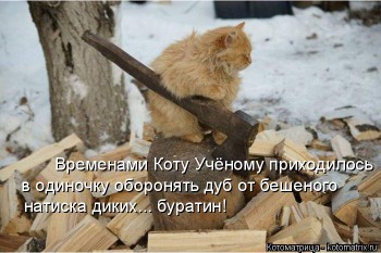 Любимая кошатинка  - kotomatritsa_Cb.jpg