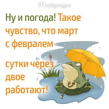 А что у нас с погодой? - 5 - 12744521_836286303184093_5426324463334599023_n.jpg