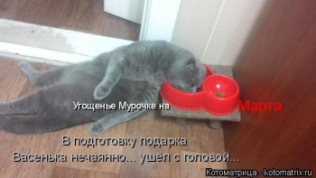 Страшнее кошки зверя нет  - kotomatritsa_L.jpg