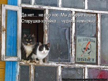 Страшнее кошки зверя нет  - kotomatritsa_E.jpg