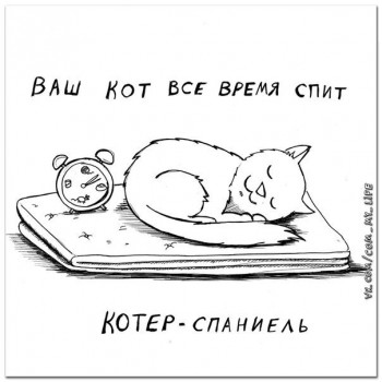 Страшнее кошки зверя нет  - ra-SbSQqD0Y.jpg