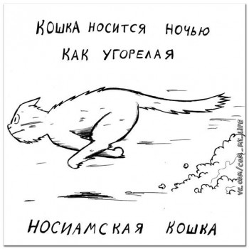 Страшнее кошки зверя нет  - vI-mA39oYq8.jpg