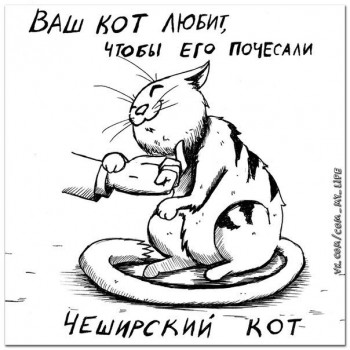 Страшнее кошки зверя нет  - WPO8It0Plp4.jpg