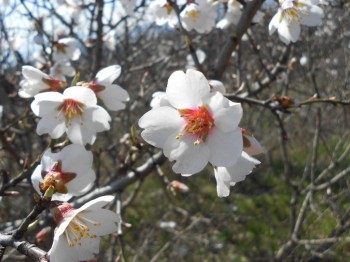 А что у нас с погодой? - 5 - DSCN7284.JPG