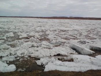 А что у нас с погодой? - 5 - Lenovo_A1000_IMG_20160405_163007.jpg