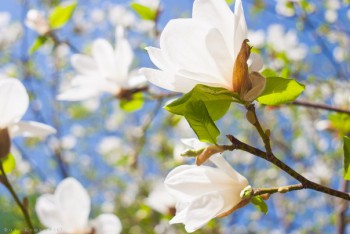 Тема для КОРОТКИХ вопросов-6 - загадка5.jpg