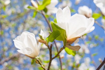 Тема для КОРОТКИХ вопросов-6 - загадка10.jpg