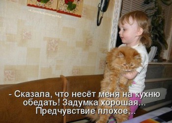 Любимая кошатинка  - 5J6RVRblkW0.jpg