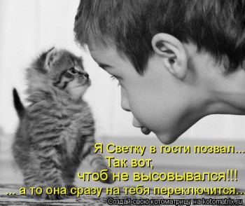 Любимая кошатинка  - BPyEzO_3-VY.jpg