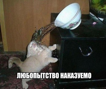 Любимая кошатинка  - eGnmm1DFxPs.jpg